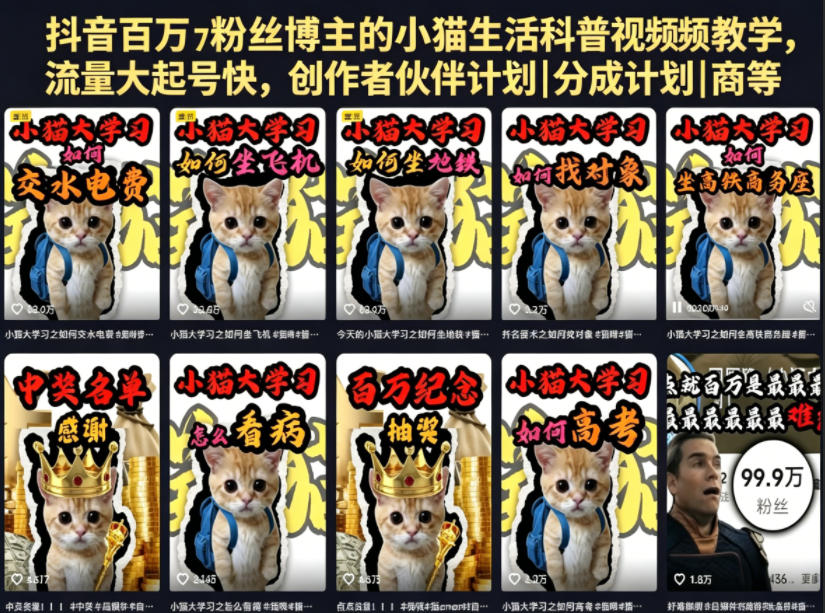 抖音百万粉丝博主的小猫生活科普视频教学，流量大起号快，创作者伙伴计划|分成计划|商单|收徒等-轻创掘金社