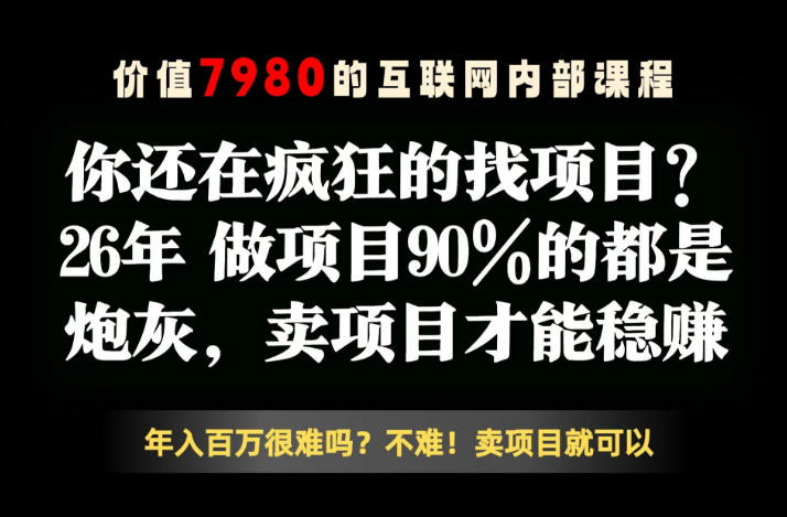 26年请不要疯狂的找项目了，卖项目远比你想象的暴利，你也可以月入10W+【揭秘】-轻创掘金社