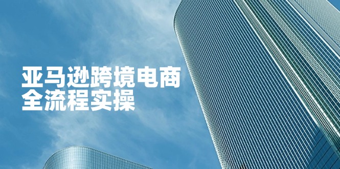 (14252期)亚马逊跨境电商全流程实操,教你从零开始,掌握店铺运营与广告技巧-轻创掘金社