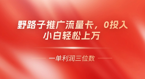 0门槛推广流量卡，一单收益上百，0投入，小白月入过W-轻创掘金社