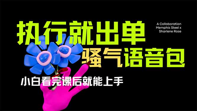 （14170期）爆火全网的开车导航骚气语音包,只要执行就出单，小白看完课程就能实操...-轻创掘金社